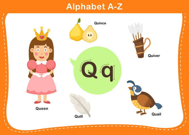 ilustrações de stock, clip art, desenhos animados e ícones de alphabet letter q vector - book sheet education student