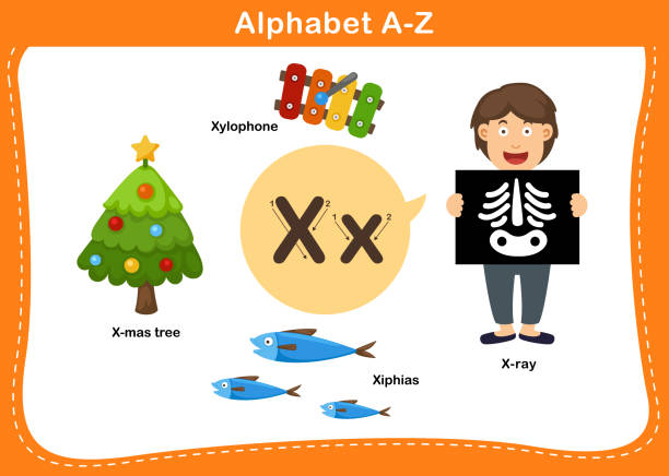 ilustrações de stock, clip art, desenhos animados e ícones de alphabet letter x vector - book sheet education student