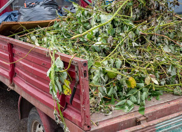 istock Garden waste on a car 1248422955