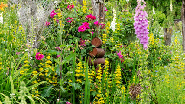 istock Stacked old tin cans between flowering plants 1248424818
