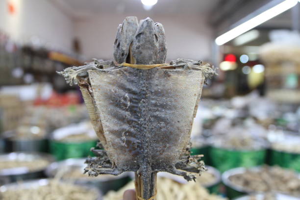 istock In the Chinese herbal market 1248442870