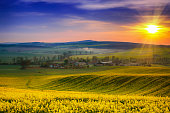 Rural spring landscape