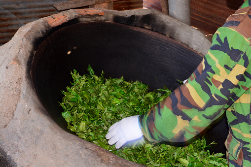 pan fired tea,roasting in a pan ,tea leaves are roasted early in processing to stop the natural oxidation process
