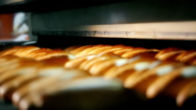 Loaf of bread on the production line in the bakery