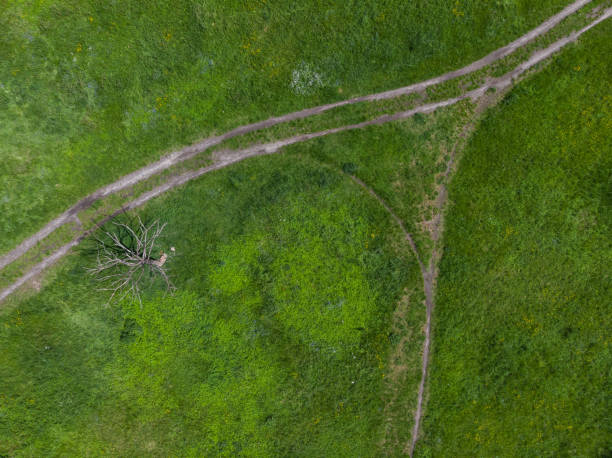 istock Top down look to connection of paths between grass, bushes and trees 1248444659