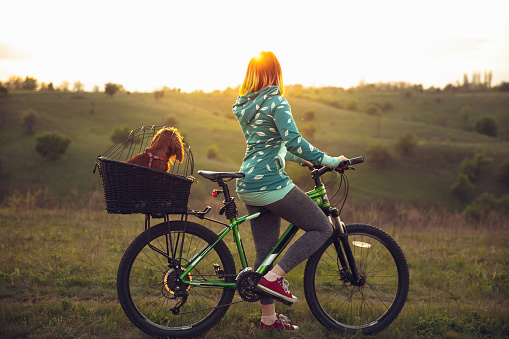 Young woman having fun near countryside park, riding bike, traveling with companion spaniel dog. Calm nature, spring day, positive emotions. Sportive, active leisure activity. Walking together.