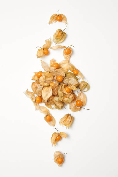 istock orange physalis berries on a white background 1248444956