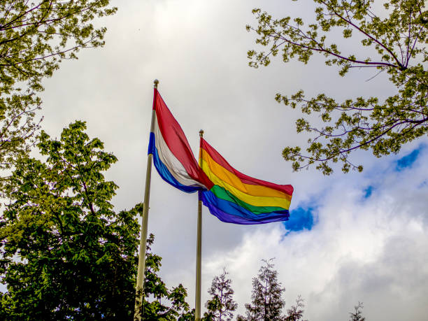 istock LGBT and Holland flag 1248449046
