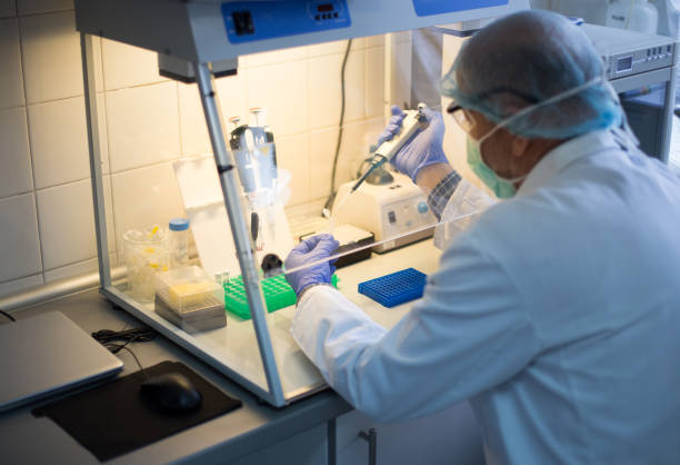 Biologist working with samples in uv box in laboratory Biologist with protective equipment working on samples in insulation glow uv box in laboratory glove box stock pictures, royalty-free photos & images