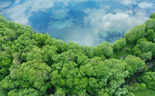 Aerial view of a shoreline with trees and a river with a reflection of the sky.