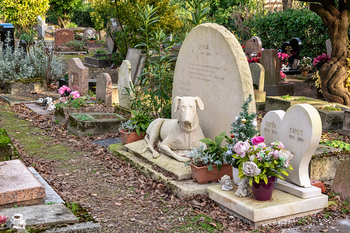 Graves in the pet cemetery of Paris in Asnières-sur-Seine, France. The \