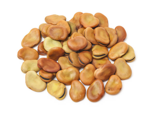 파바 콩, 비시아 파바 - fava bean bean seed 뉴스 사진 이미지