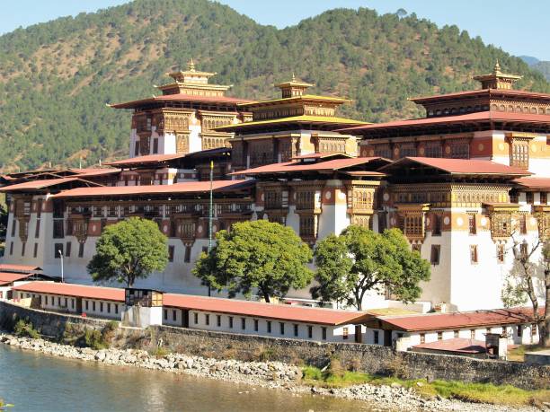 istock Exterior of Punakha Dzong 1248458965