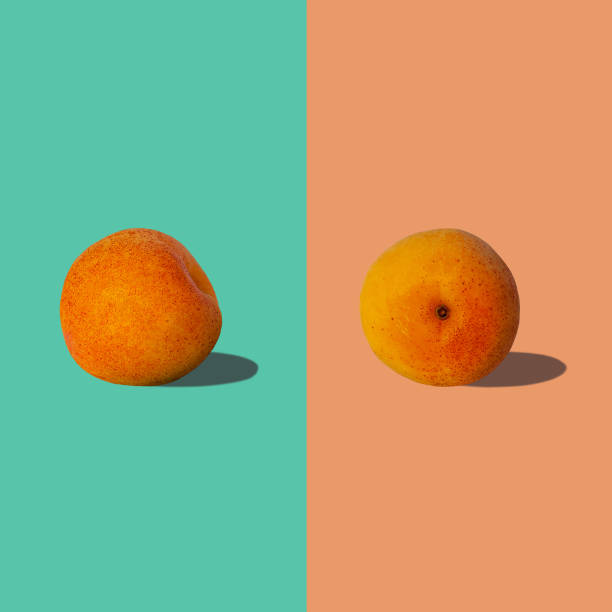 Apricot square composition with hard shadows flat lay on pastel turquoise background. Creative layout summer fruits. Apricot square composition with hard shadows flat lay on pastel turquoise and orange background. Creative layout made of fresh summer fruits. Vegan raw food fun concept. Trend website design pop art. peach photos stock pictures, royalty-free photos & images