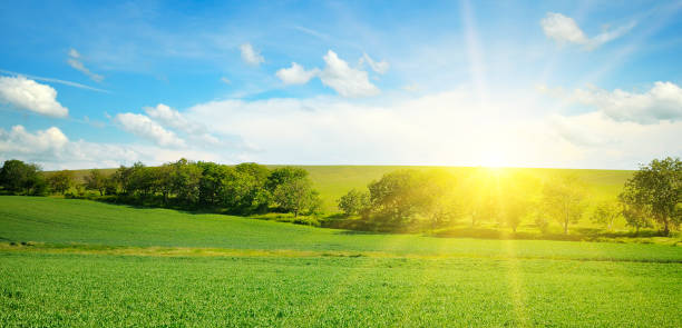 istock Green field and sun on blue sky with light clouds. Wide photo. 1248460091