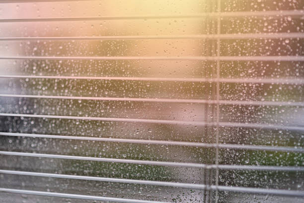 Looking through partially closed blinds, capturing a blurred view of a sunday morning rain in Miami, Florida.