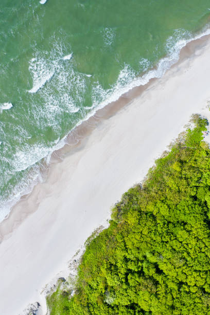 istock Baltic sea beach from above. Aerial drone shot. 1248462263