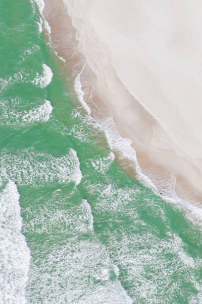 istock Baltic sea beach from above. Aerial drone shot. 1248462265