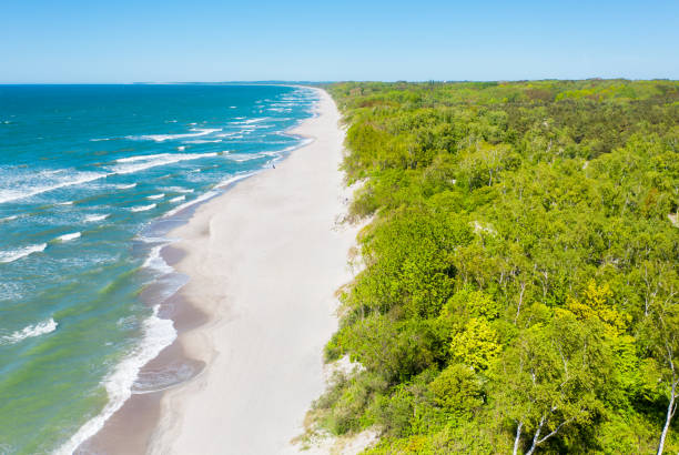 istock Baltic sea beach from above. Aerial drone shot. 1248462271