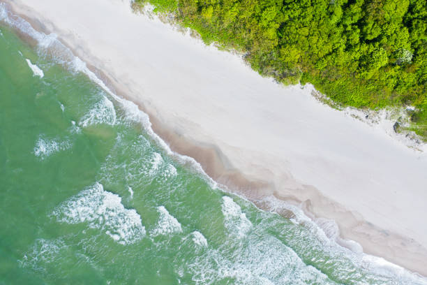 istock Baltic sea beach from above. Aerial drone shot. 1248462273