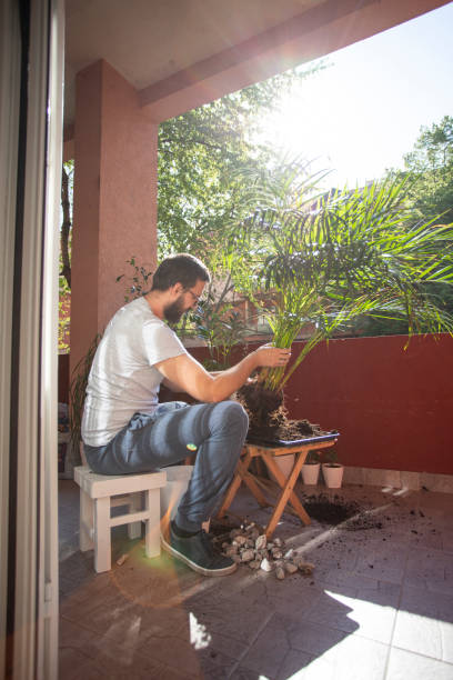 istock Good Care For His Plant 1248464098