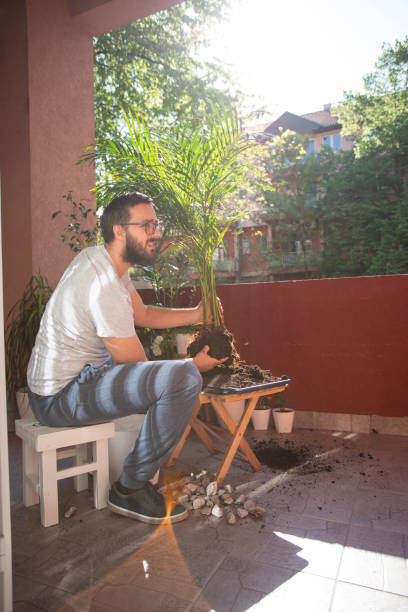 istock Hobby Of Growing Plants 1248464104