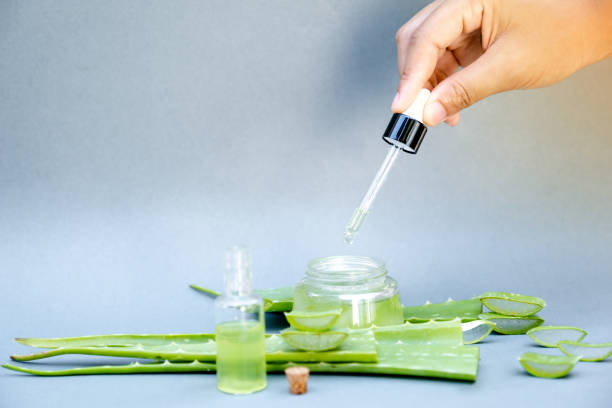 istock Hand leaking Aloe Vera star cactus Gel with dropper and aloe vera star cactus slide isolate on gray back ground 1248468030