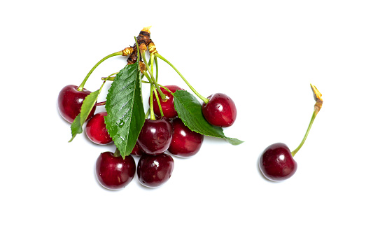 Cherry fruit branch on white background top view isolated