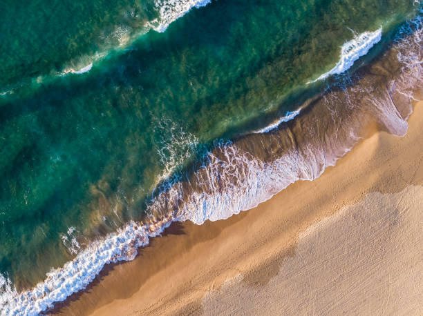 istock Birds eye view of ocean waves, surfers and beach 1248472901