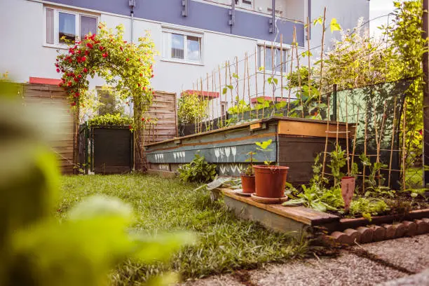 Photo of Idyllic little garden in the city, summer time