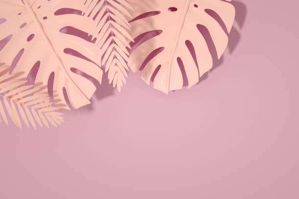 istock Tropical Palm Leaves, Minimal Summer Background 1248484339