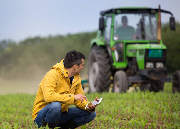 istock Farmer in front of tractor in corn field 1248485459