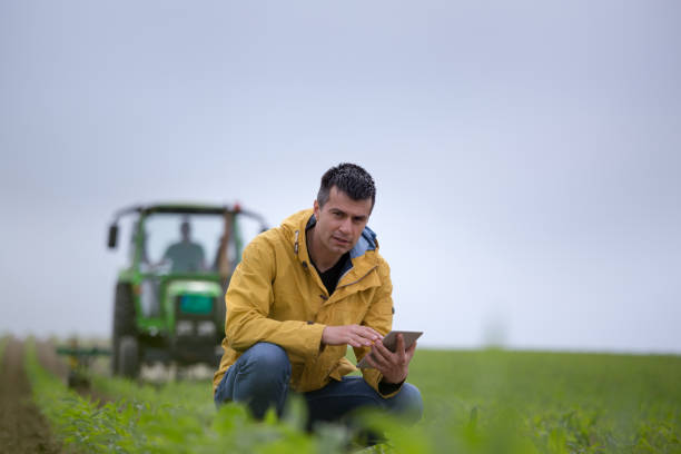 istock Farmer in front of tractor in corn field 1248485467