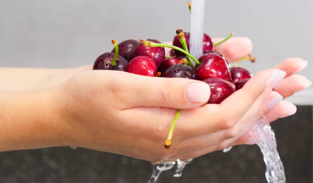 istock female hands holding delicious cherries under a water stream 1248486234