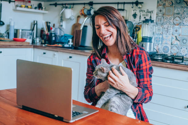 istock Woman holding a cat and using laptop. 1248486433