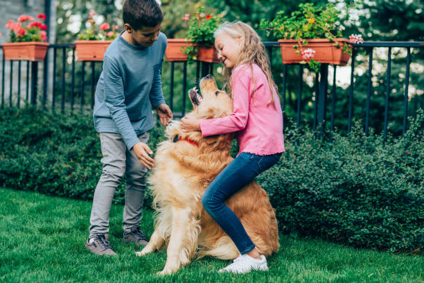 istock Happy children playing with their dog in the backyard. 1248486439