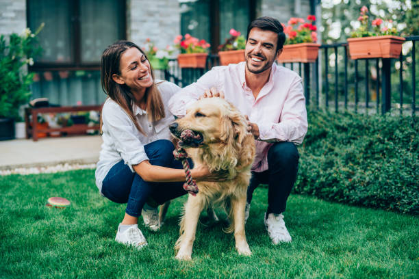 szczęśliwa para bawi się ze swoim psem. - two dogs zdjęcia i obrazy z banku zdjęć