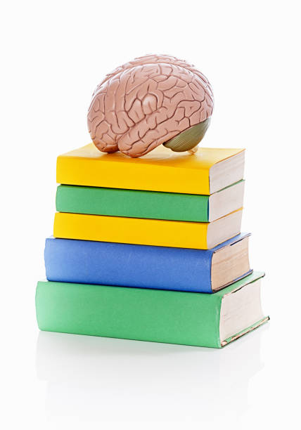 istock Anatomical model of human brain rests on stack of colorful books 1248488364