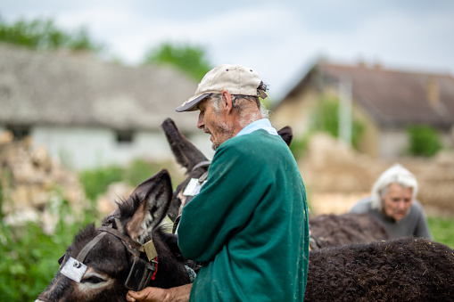Senior farmers with donkeys
