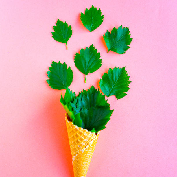 Bright fresh green leafs in waffle cone on pastel pink background. Minimal concept.