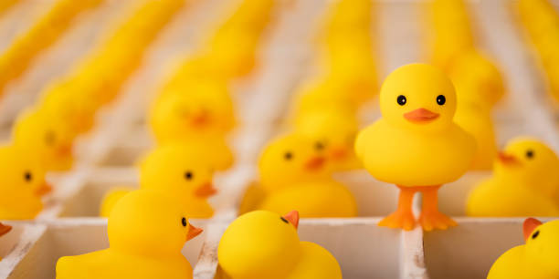 muitos patos de borracha amarelos em caixas brancas de pombo-pombo olhando para um pato em pé sobre duas pernas, que é livre fora das caixas. imagem conceitual relacionada ao pensamento fora da caixa, liberdade, destaque da multidão, individualidade, su - compartimento de arrumação - fotografias e filmes do acervo