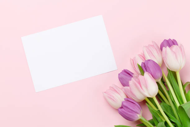istock Pink tulips over pink background 1248492864