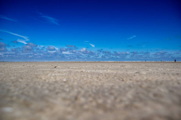 Horizontal daytime shot from the ground