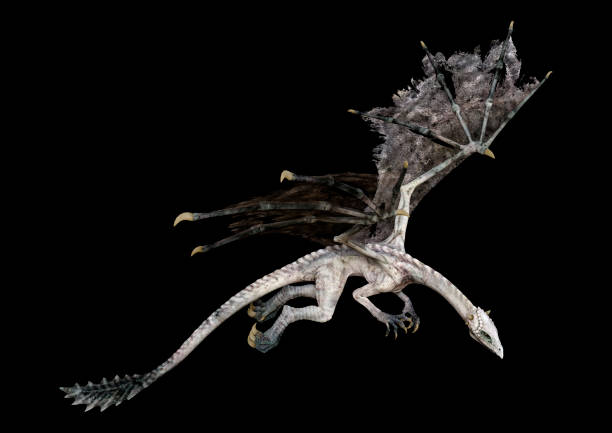 istock 3D illustration fantasy dragon on black 1248507394
