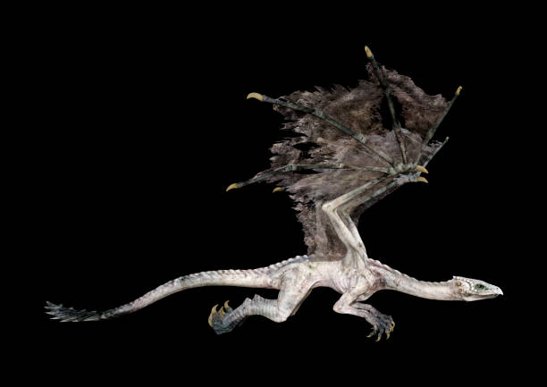 istock 3D illustration fantasy dragon on black 1248507827