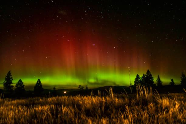istock Southern lights in Lake Tekapo 1248508148