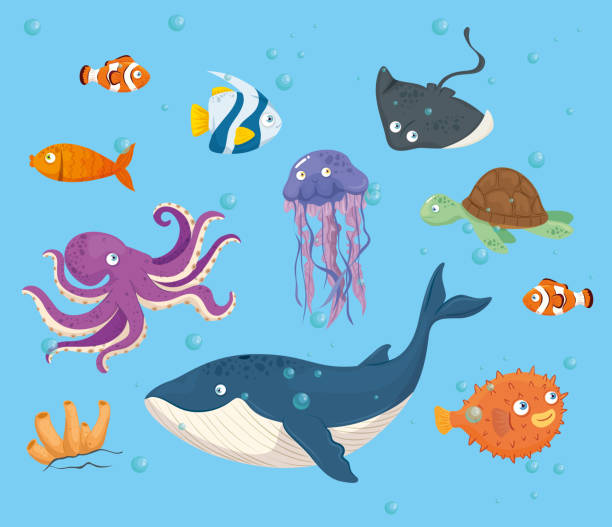 istock octopus animal marine in ocean, with cute underwater creatures,habitat marine 1248510236