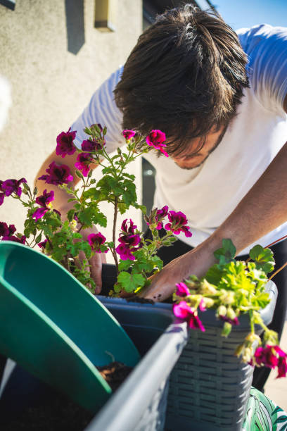 istock men Sardinia flower plantings 1248519480