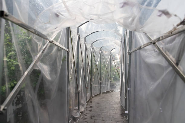 istock temporary walkway tent in rainy season, foldable plastic tunnel. 1248521366