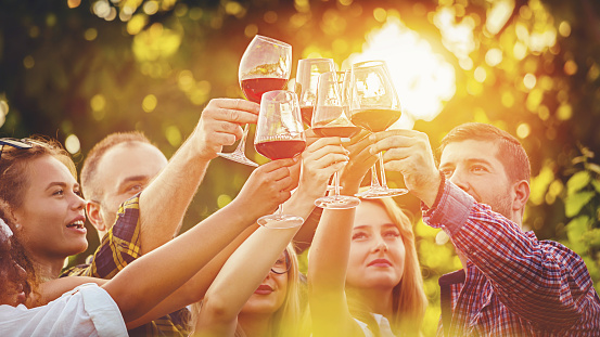 Multiracial group of young friends toasting wine glasses at outdoor party - Friendship celebration with happy people enjoying time together at vineyard restaurant garden drinking red wine at sunset